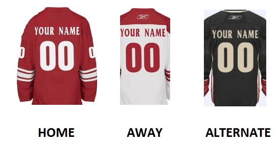 (image for) PHOENIX Pro Hockey Number Kit - Click Image to Close